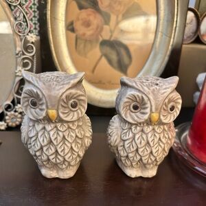 Gray Owl Salt and Pepper Shakers